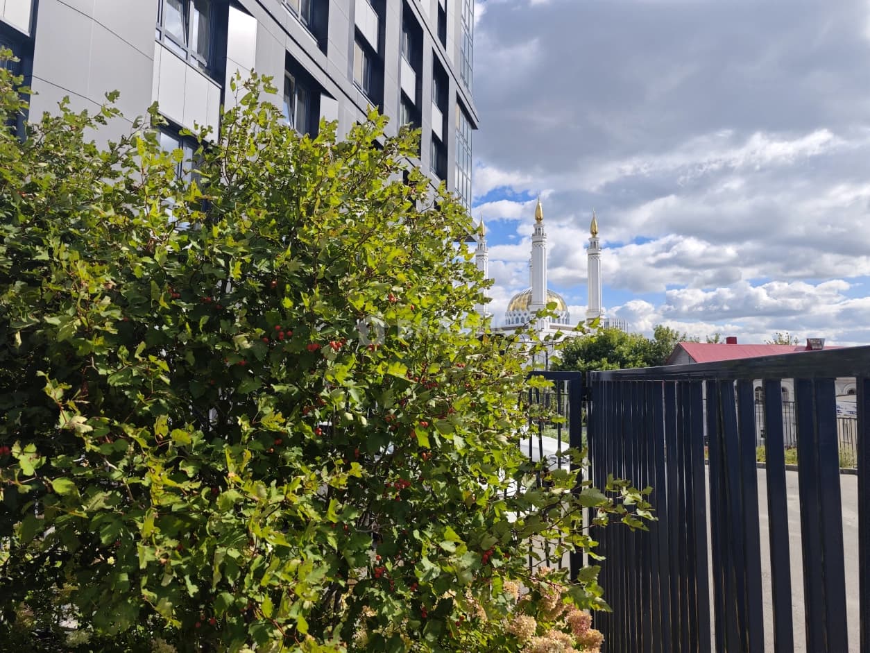 Photo 19