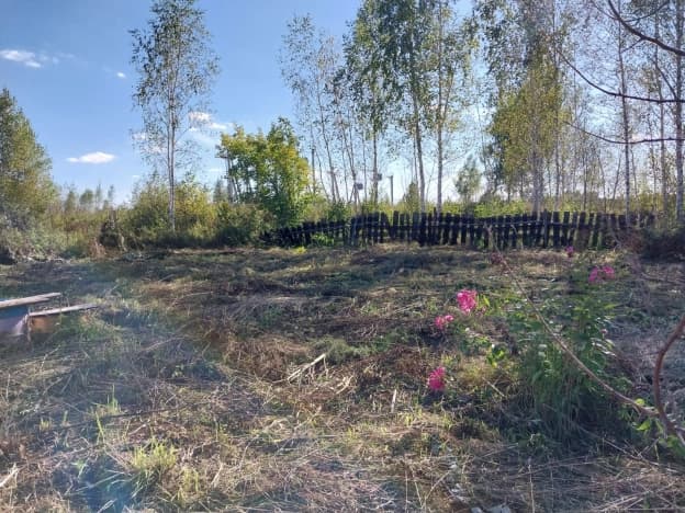 Купить земельный участок в селе Верхние аремзяны в Тобольском Муниципальном Округе на улице Менделеева, село Верхние Аремзяны в Тюменской области. Вариант № 2305496, 0, площадь - квм, цена 950000 рублей