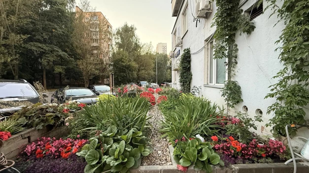 Photo 36