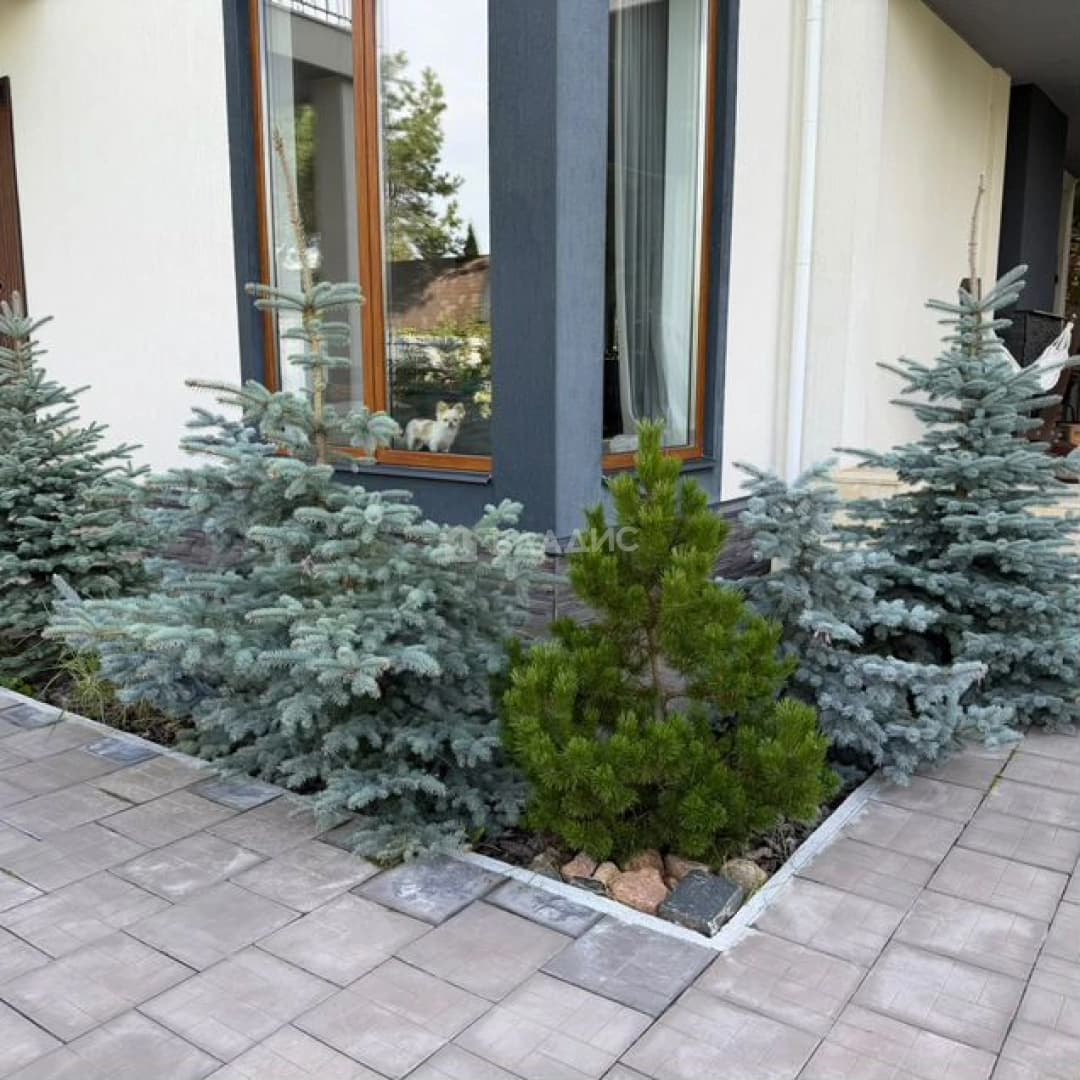 Photo 34