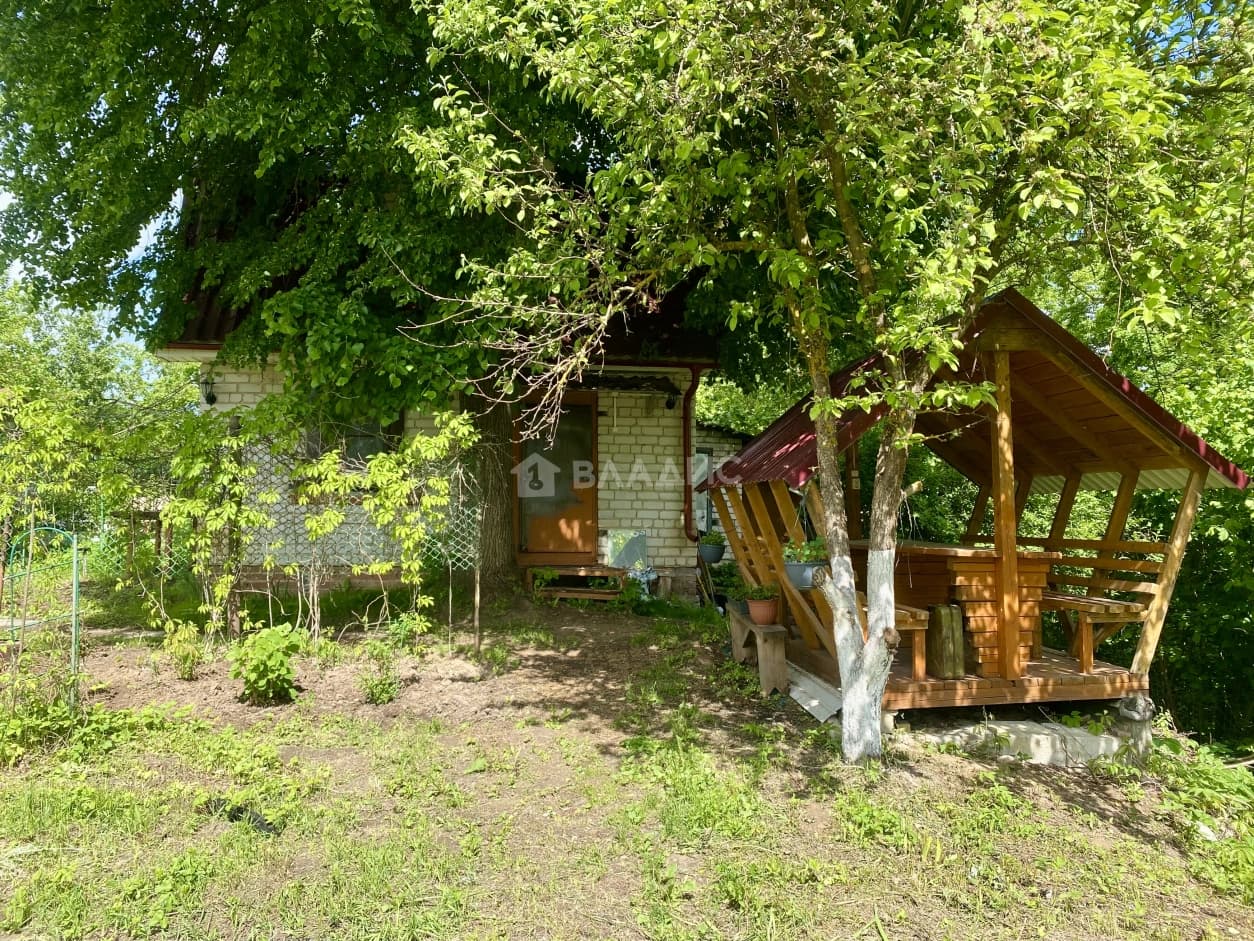Photo 4