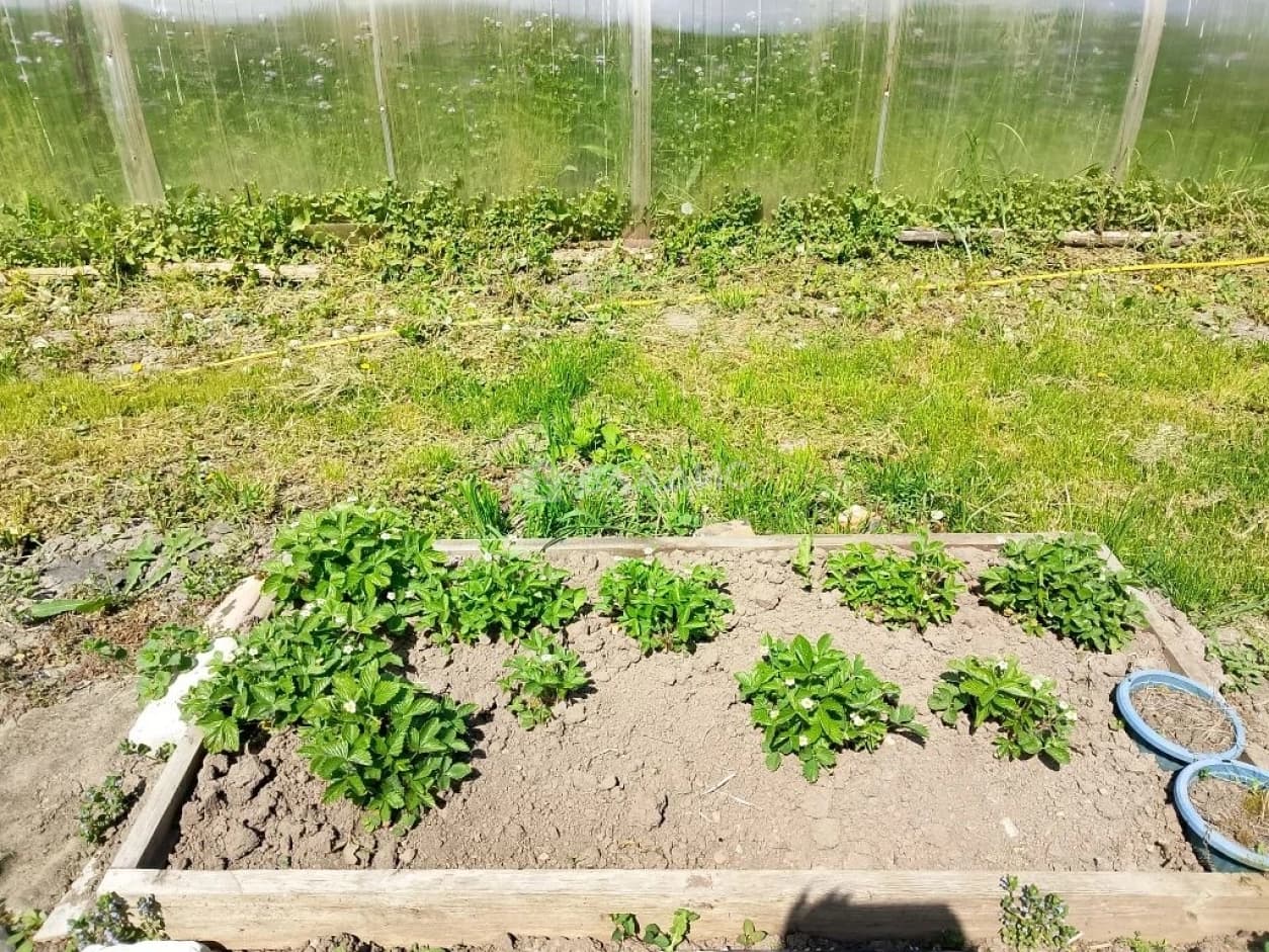 Photo 26