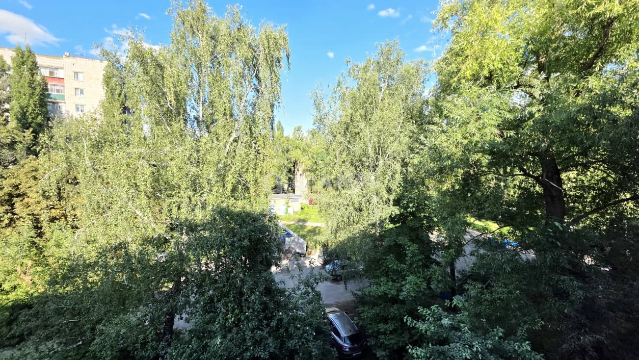 Photo 24