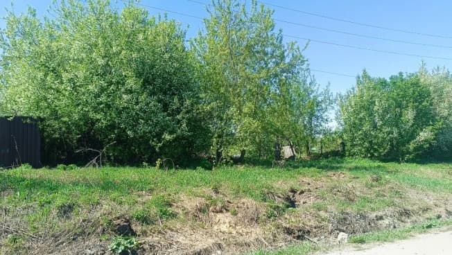 Купить земельный участок в селе Нижний сузун в Сузунском Муниципальном Округе в Новосибирской области. Вариант № 2177892, 0, площадь - квм, цена 1000000 рублей