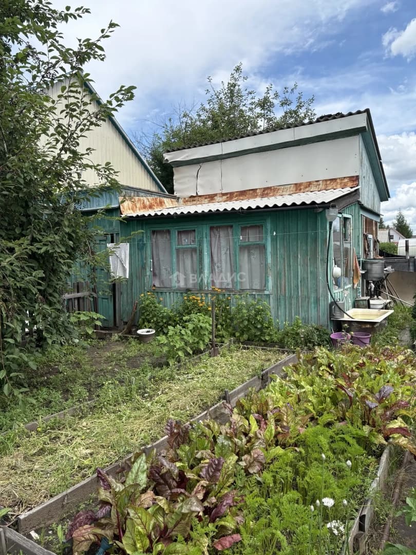 Photo 19