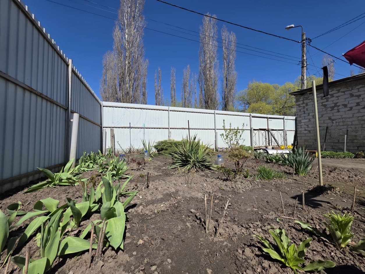 Photo 46