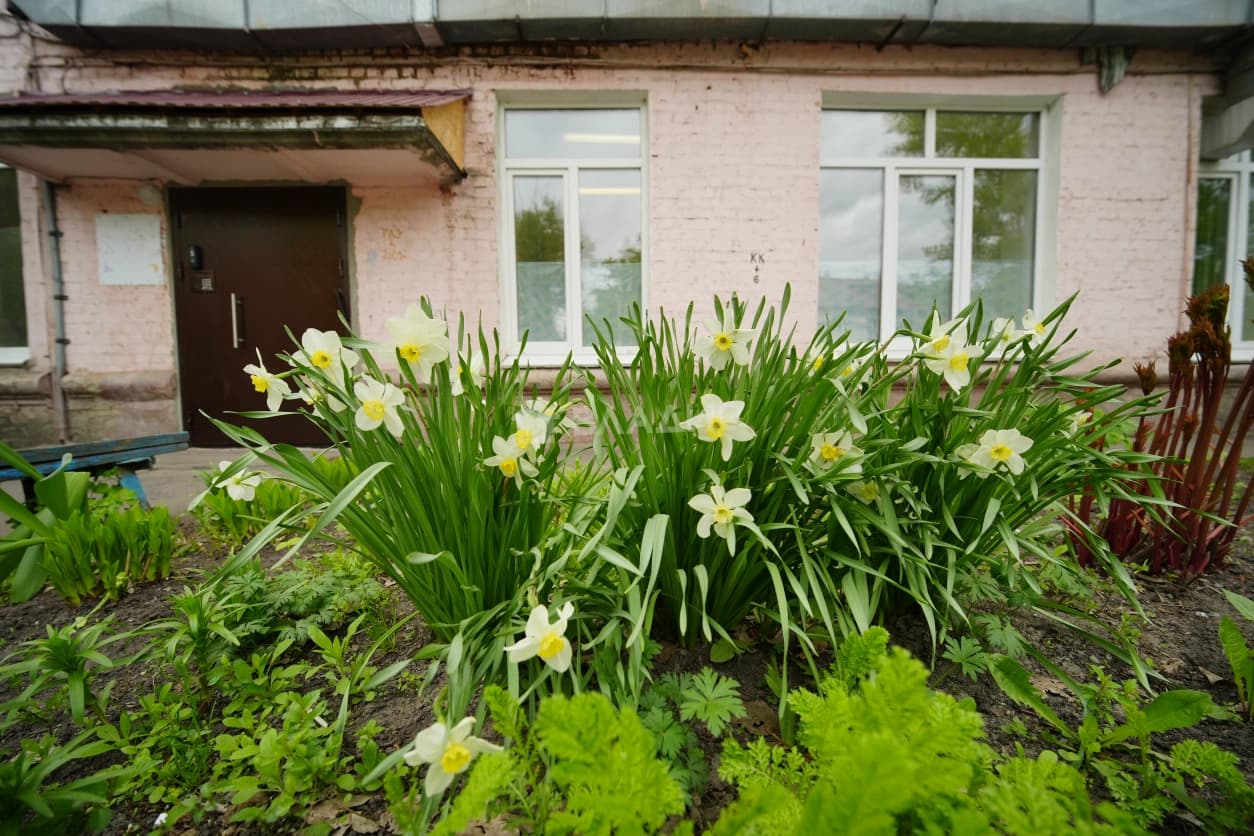 Photo 16