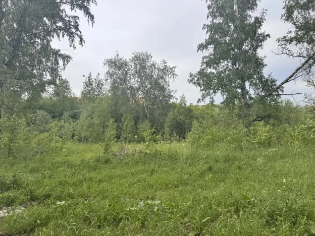 Купить земельный участок в селе Марусино в Новосибирском районе в Микрорайоне Благое, село Марусино в Новосибирской области. Вариант № 2205605, 1, площадь - квм, цена 1200000 рублей