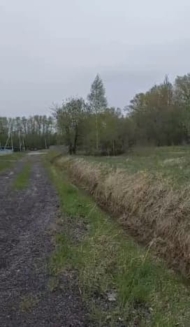 Купить земельный участок в Деревне Чижове в Собинском районе на улице Заречная , деревня Чижово в Владимирской области. Вариант № 2148446, 0, площадь - квм, цена 900000 рублей