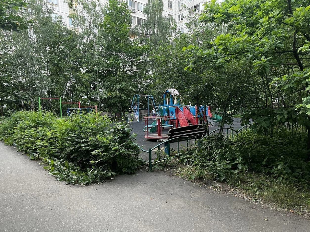 Photo 8