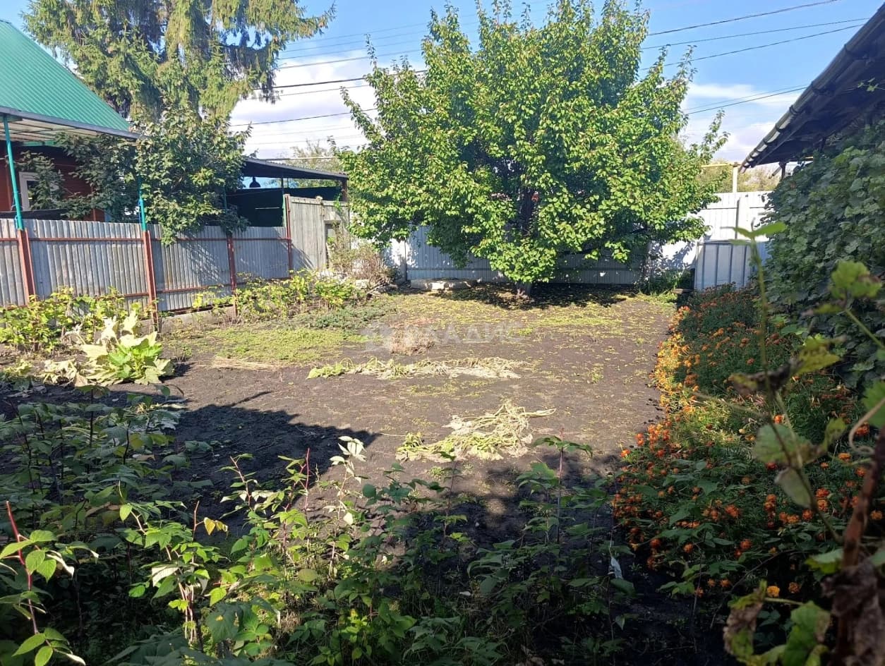 Photo 26