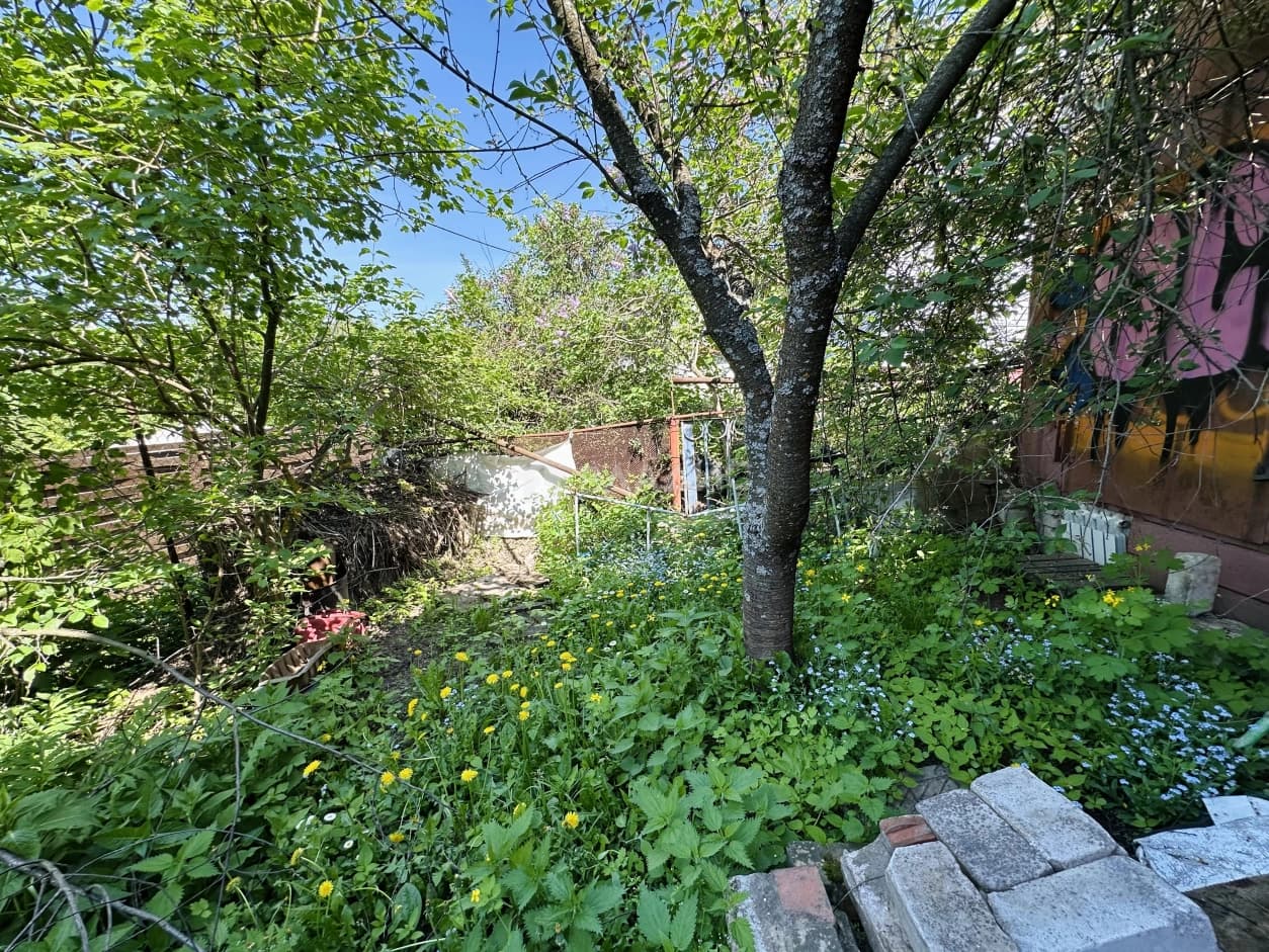 Photo 26