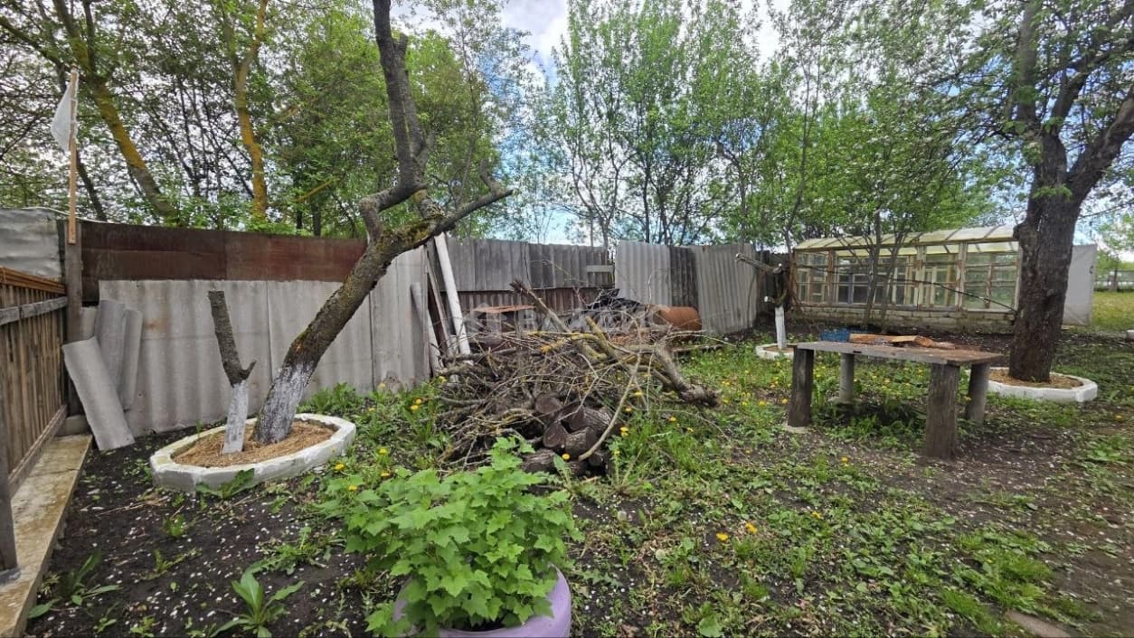 Photo 27