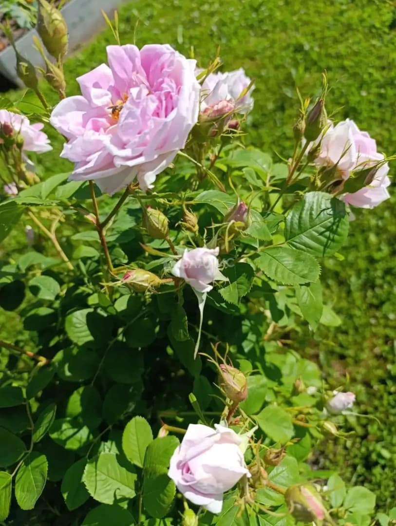 Photo 27