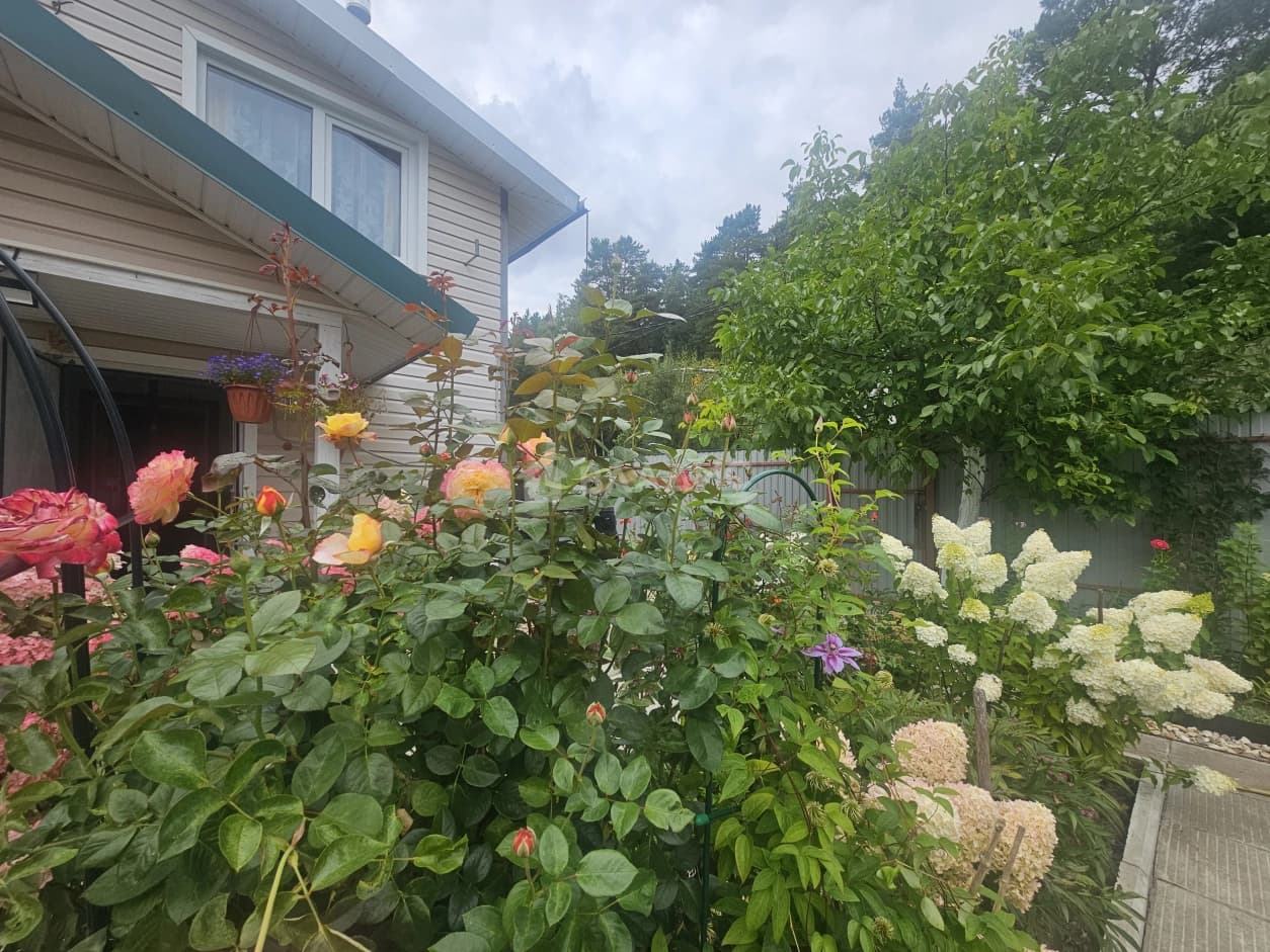 Photo 29