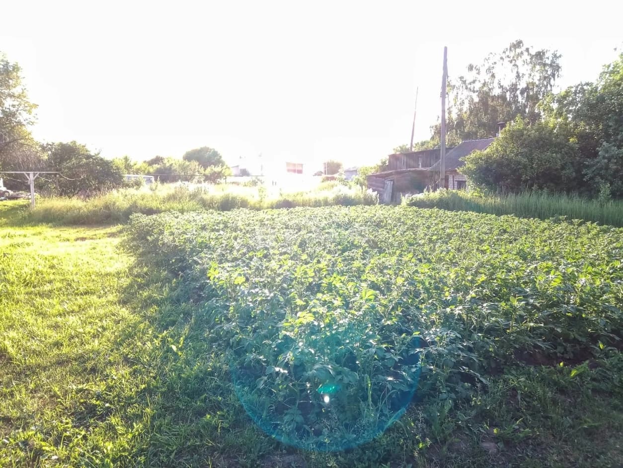 Photo 33