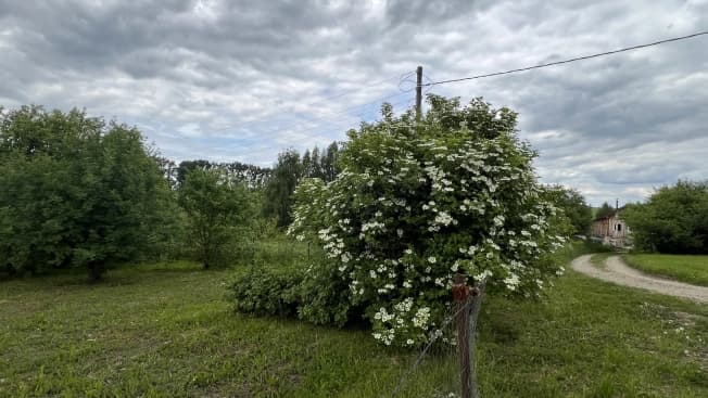 Купить земельный участок в селе Новоалександрово в Суздальском районе в Владимирской области. Вариант № 1228221, 0, площадь - квм, цена 350000 рублей