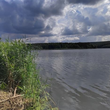 Купить земельный участок в Белгородской области. Вариант № 2252492, 1, площадь - квм, цена 25700000 рублей