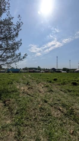 Купить земельный участок в Муниципальном Округе Сокольском в Нижегородской области. Вариант № 2181627, 1, площадь - квм, цена 450000 рублей