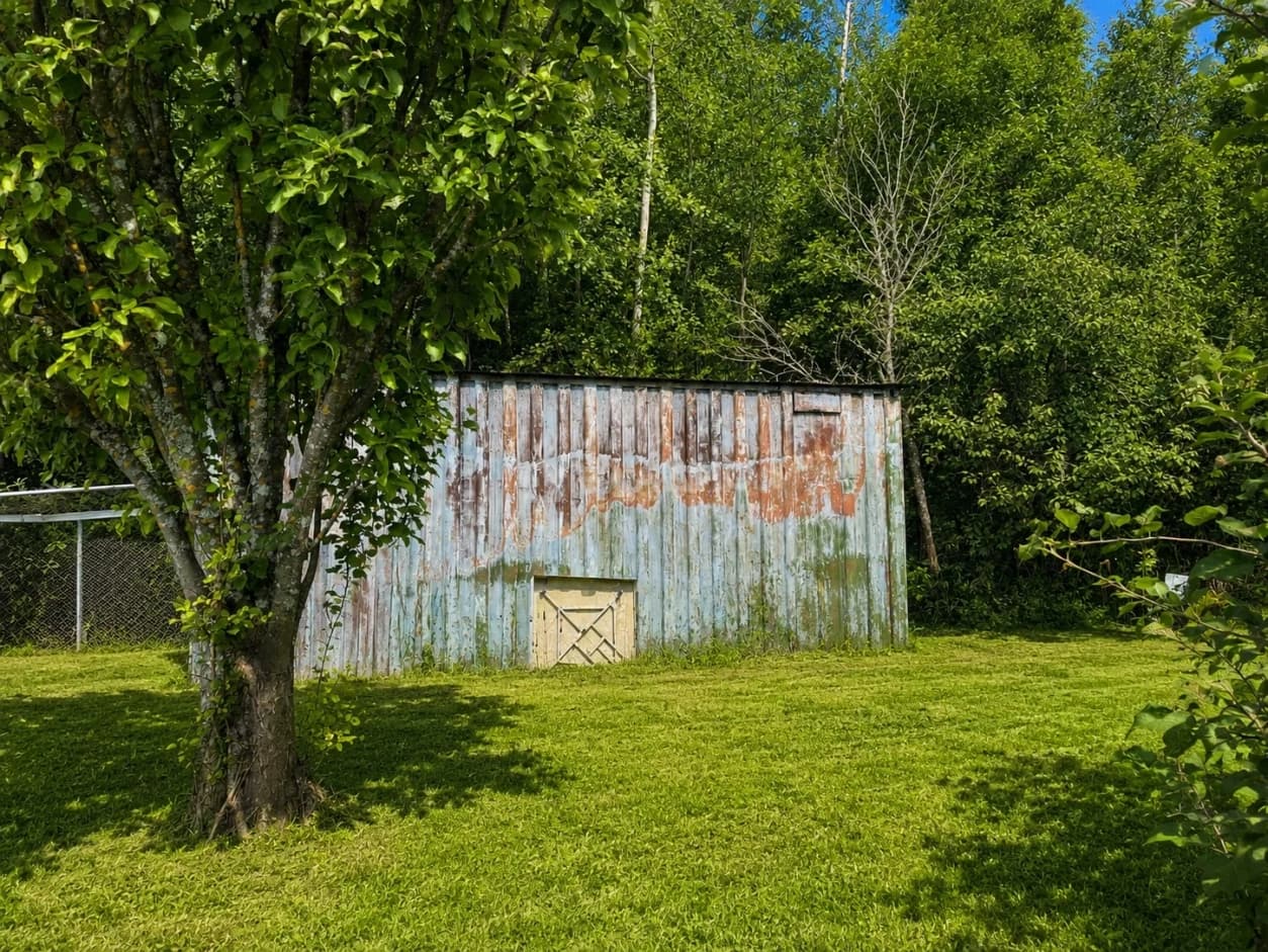 Photo 17