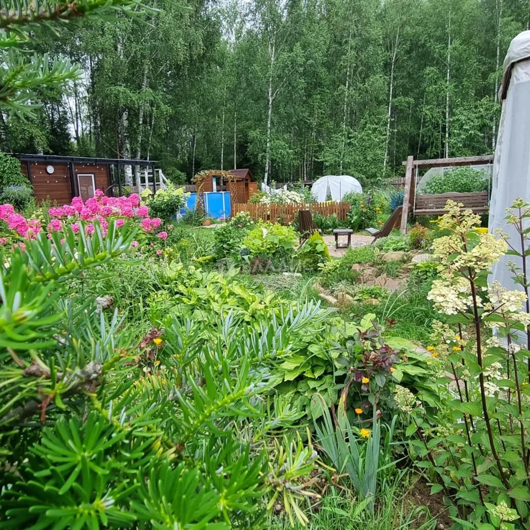 Photo 42
