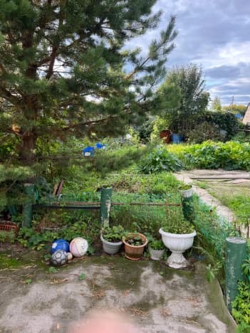 Купить дом до 2,5 млн в Новосибирской области. Вариант № 2266582, 1, площадь - квм, цена 1200000 рублей