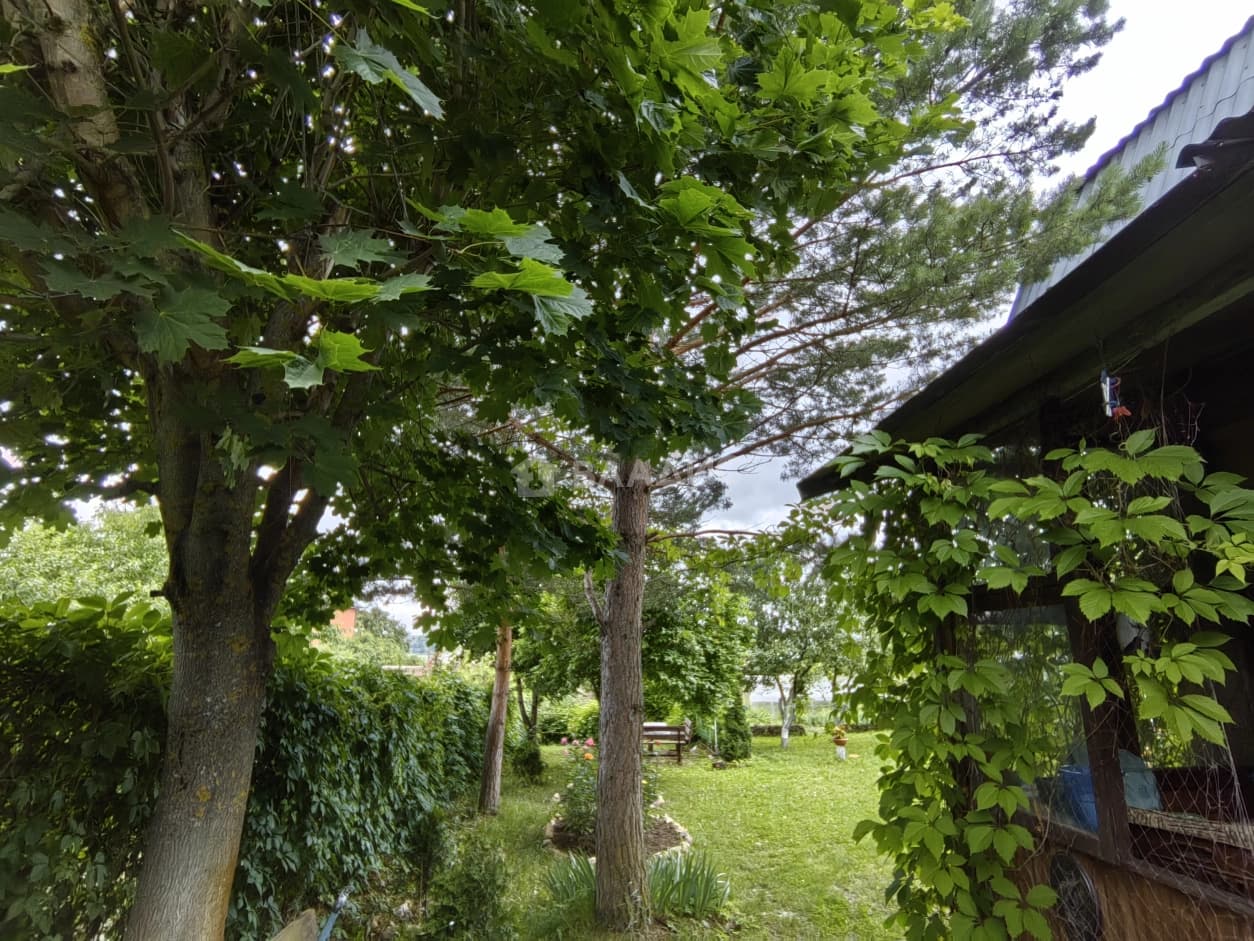 Photo 19