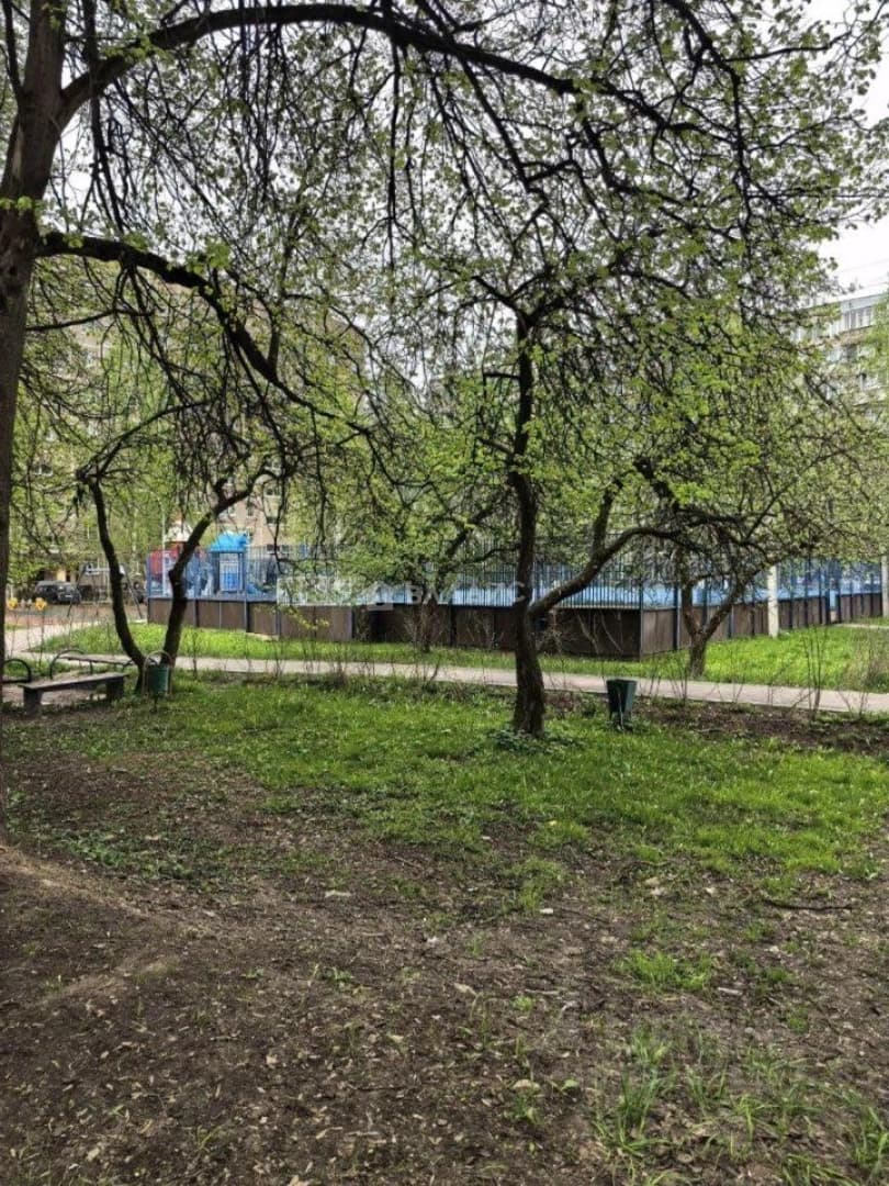 Photo 17