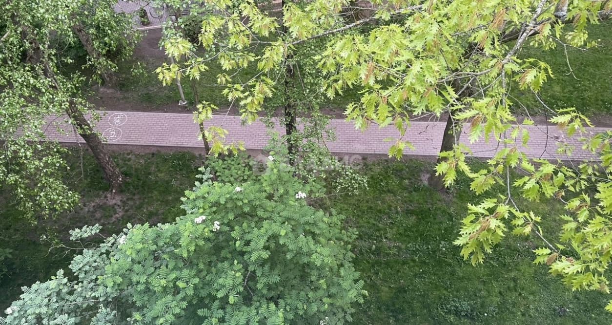 Photo 24