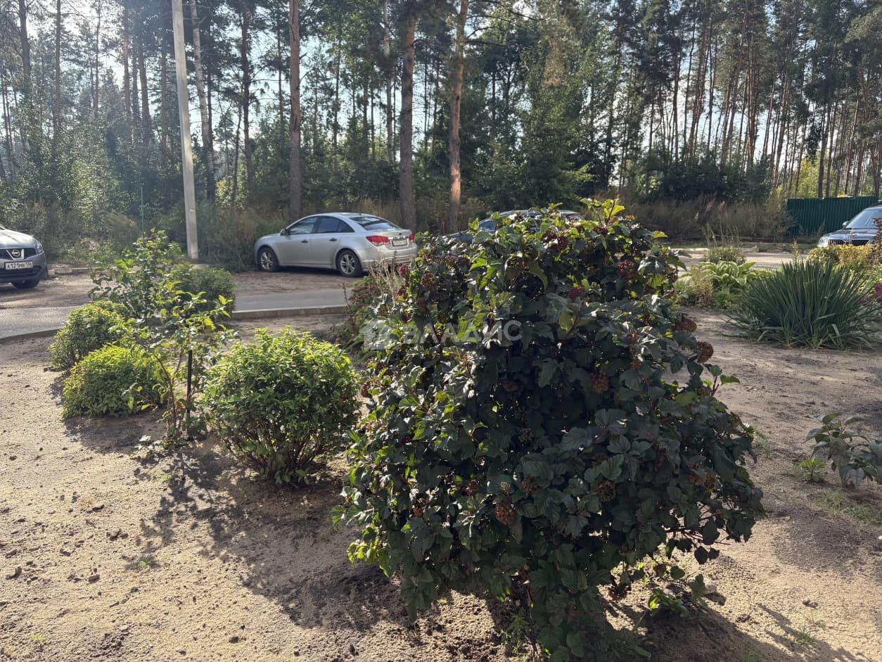 Photo 26