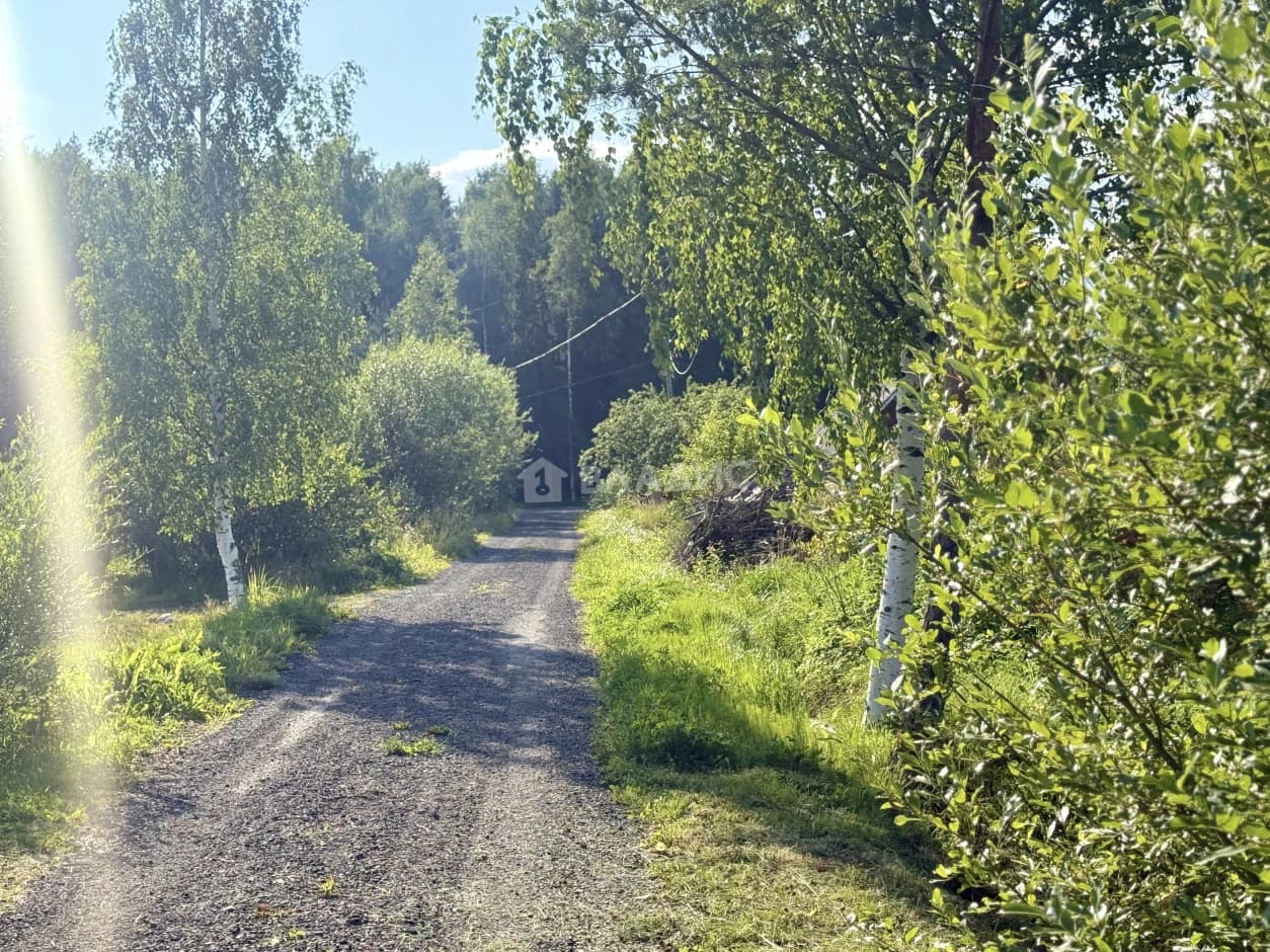 Photo 30