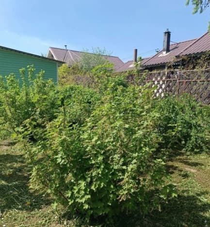Купить дачу в Суздальском Муниципальном Округе в Владимирской области. Вариант № 2222857, 1, площадь - квм, цена 4999999 рублей