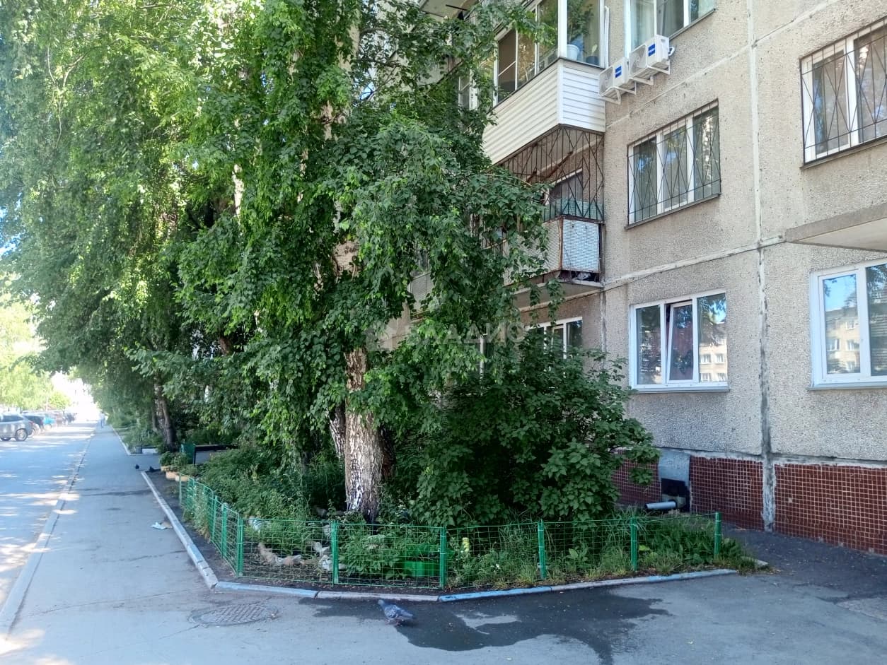 Photo 24