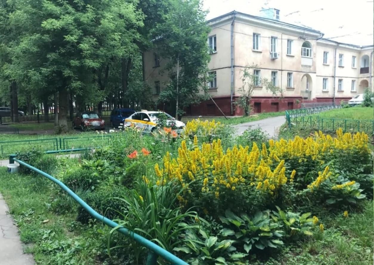 Photo 6