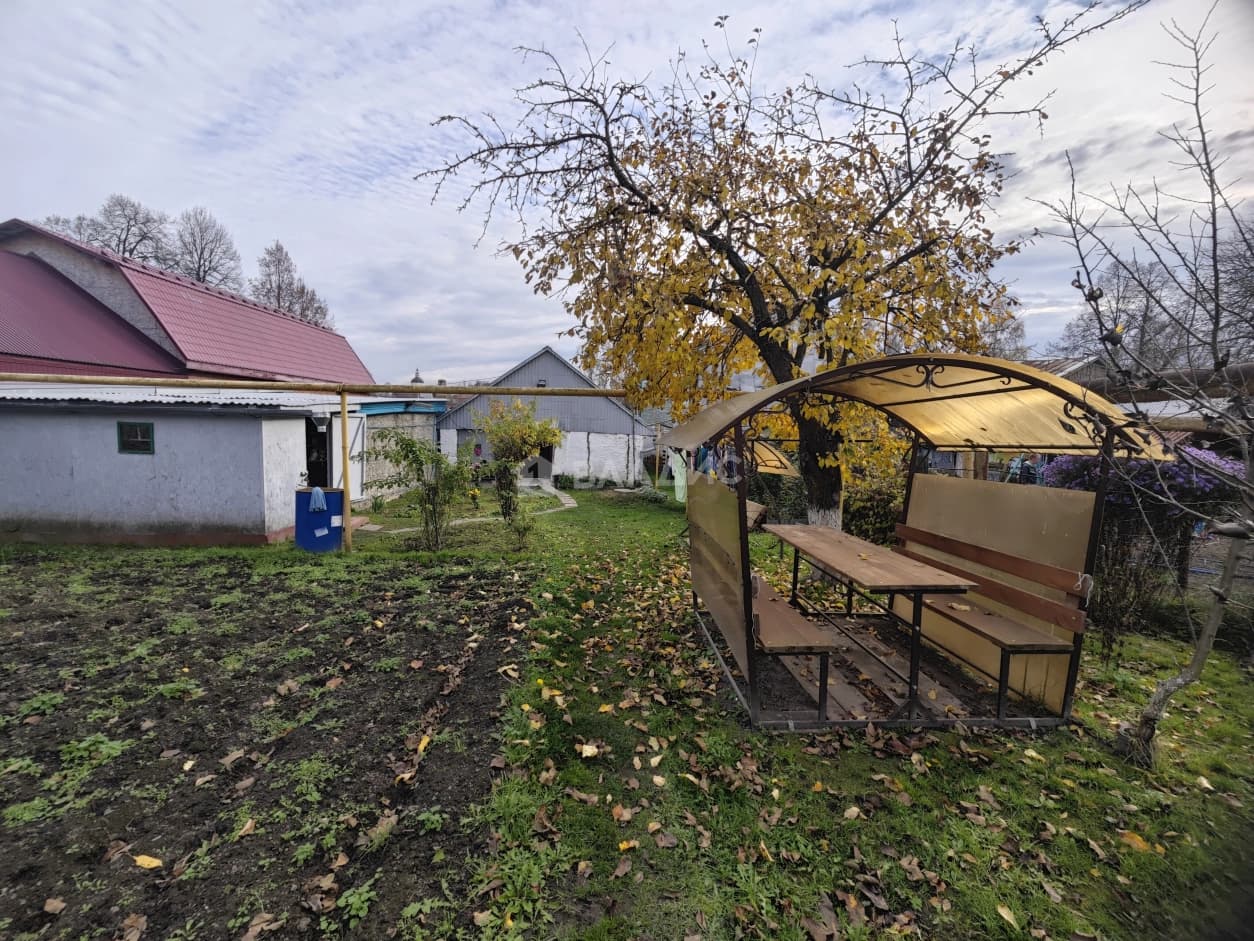 Photo 42