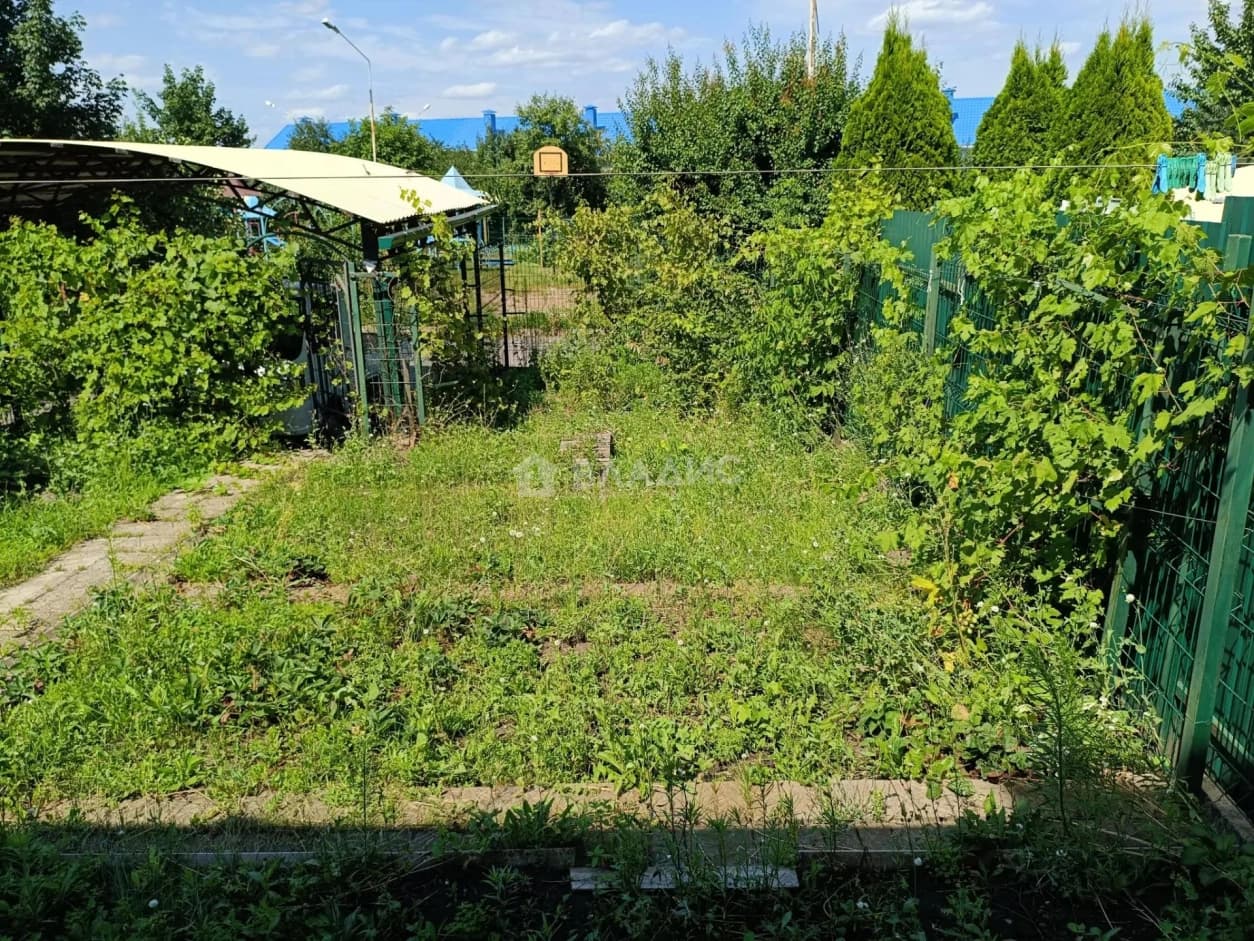 Photo 41