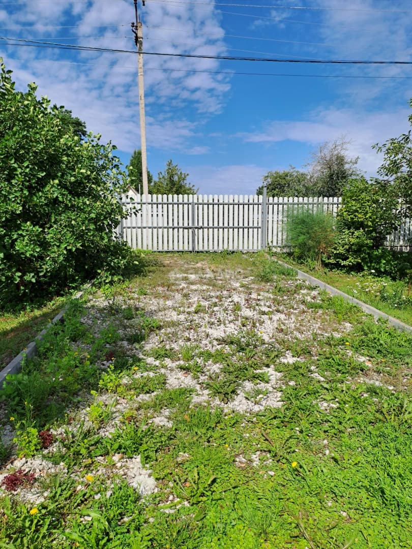 Photo 49
