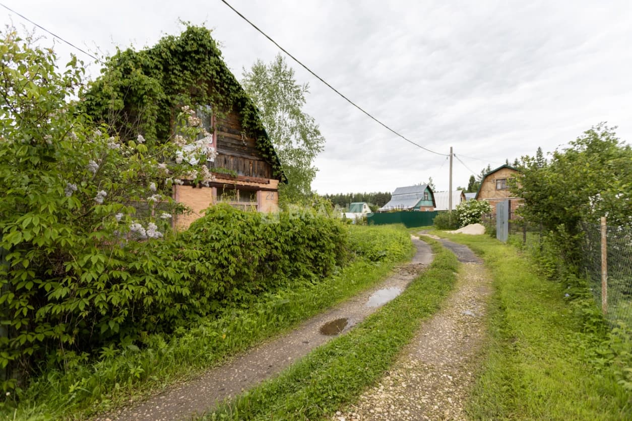 Photo 23