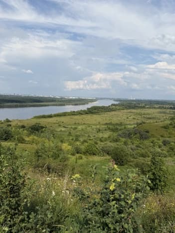 Купить земельный участок в Нижегородской области. Вариант № 2278325, 1, площадь - квм, цена 12350000 рублей