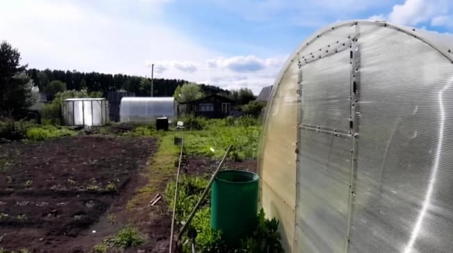 Купить земельный участок в Колыванском районе в Новосибирской области. Вариант № 2260766, 1, площадь - квм, цена 950000 рублей