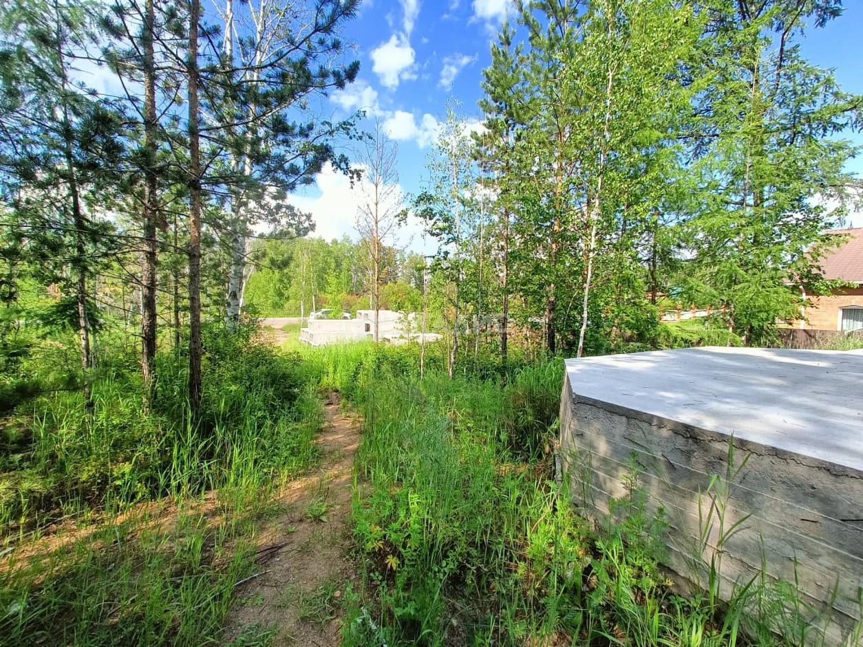 Photo 5