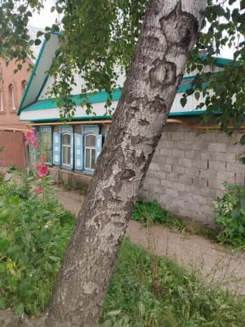 Купить земельный участок в Республике Башкортостан. Вариант № 2256232, 1, площадь - квм, цена 5900000 рублей