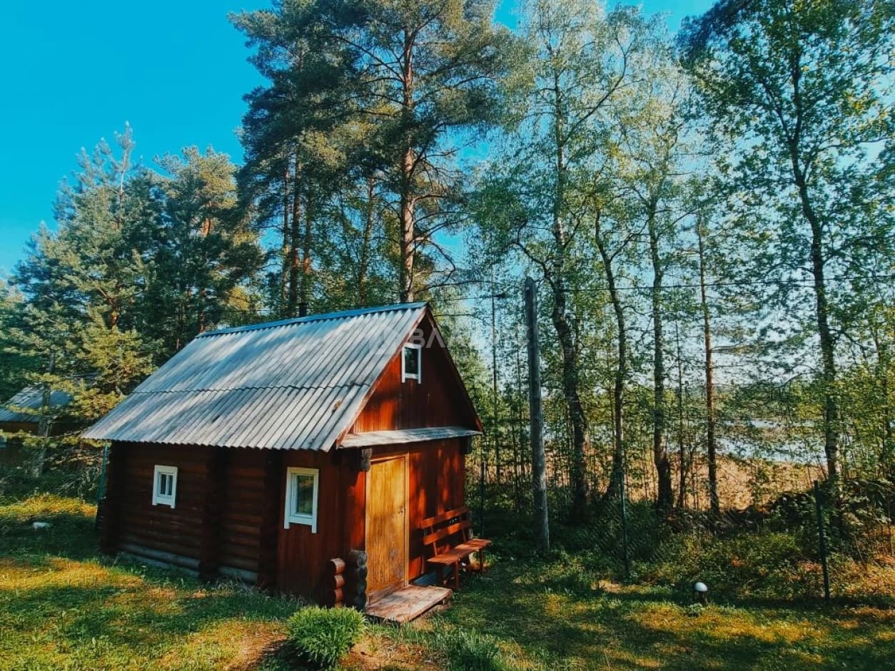 Photo 15