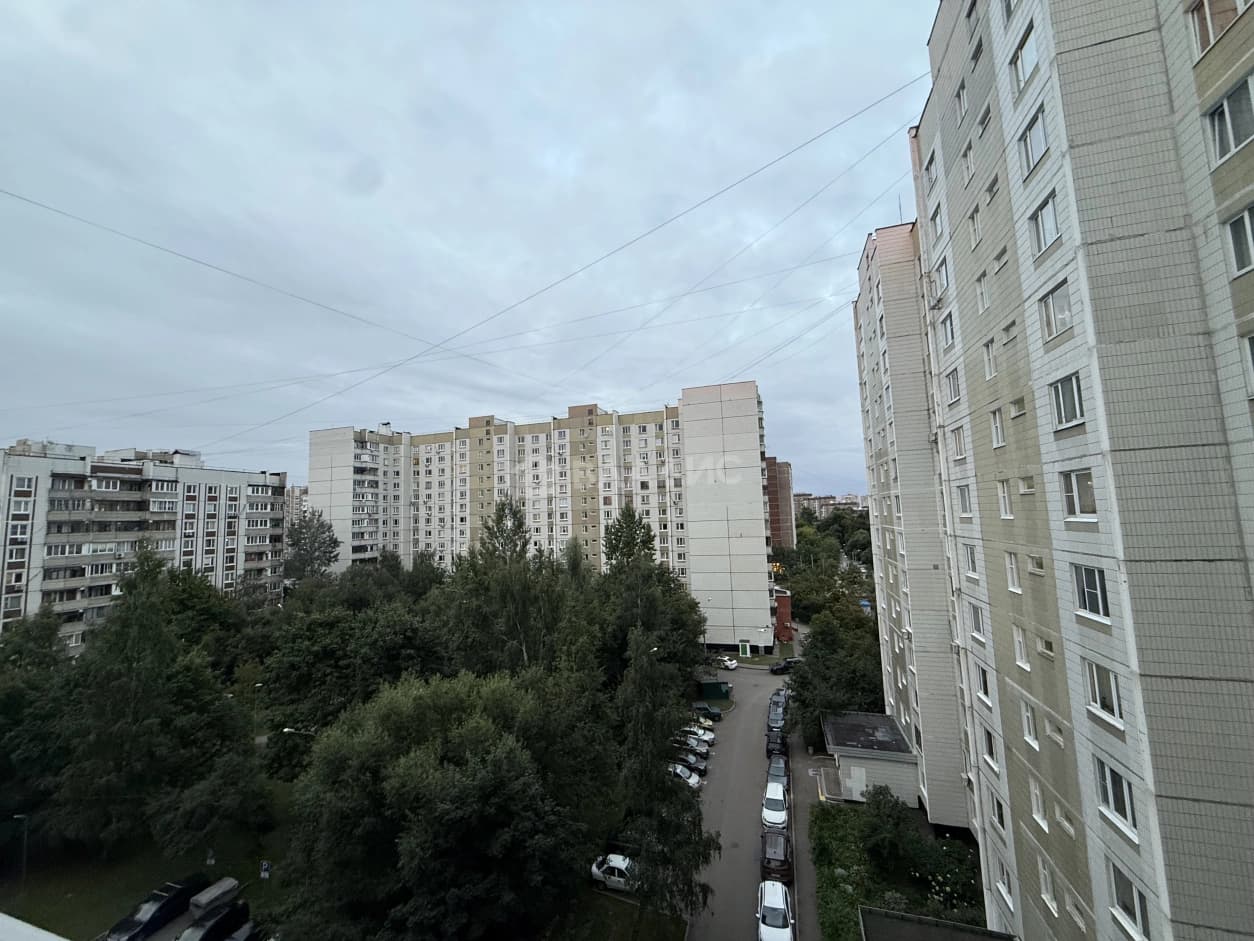 Photo 13