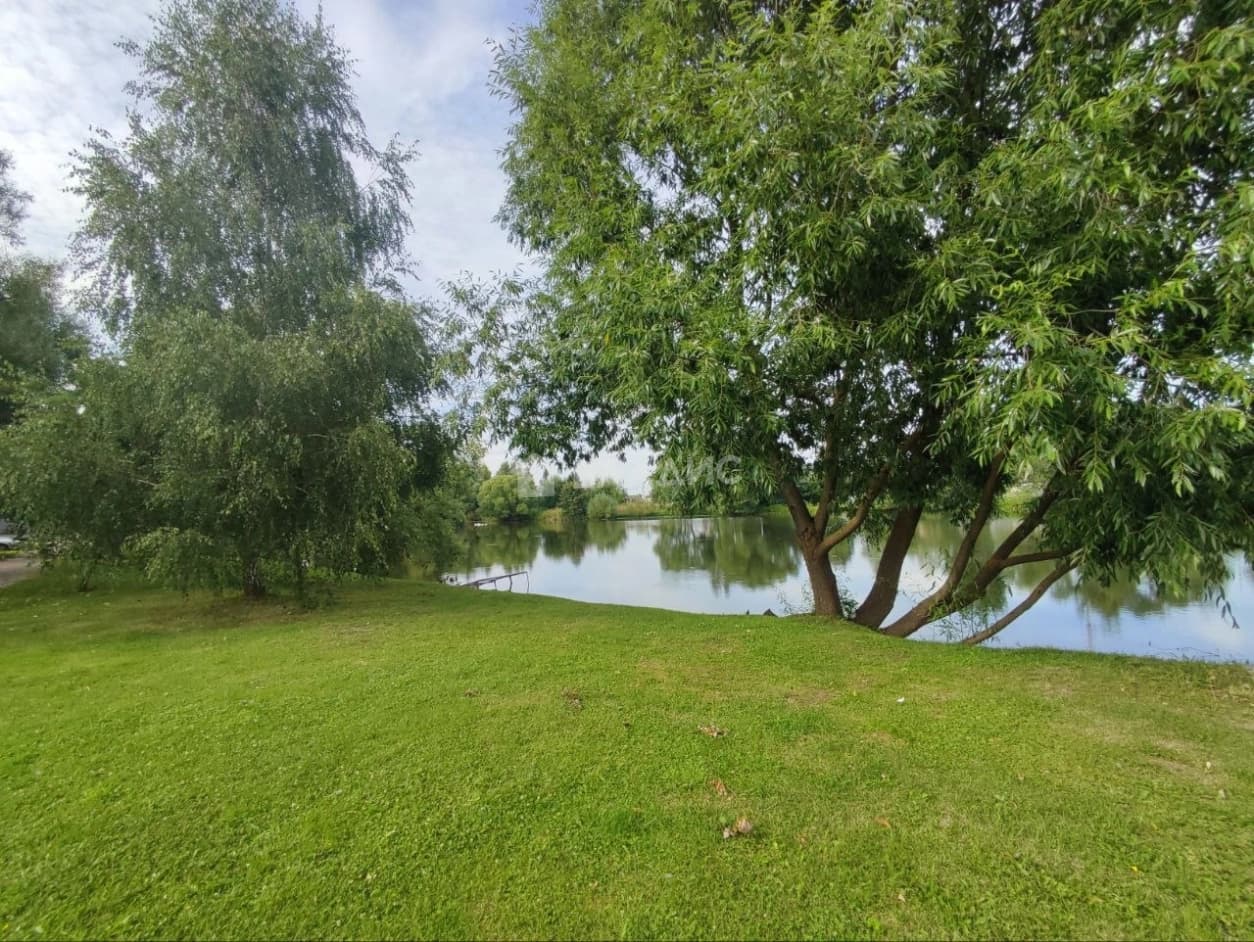 Photo 41