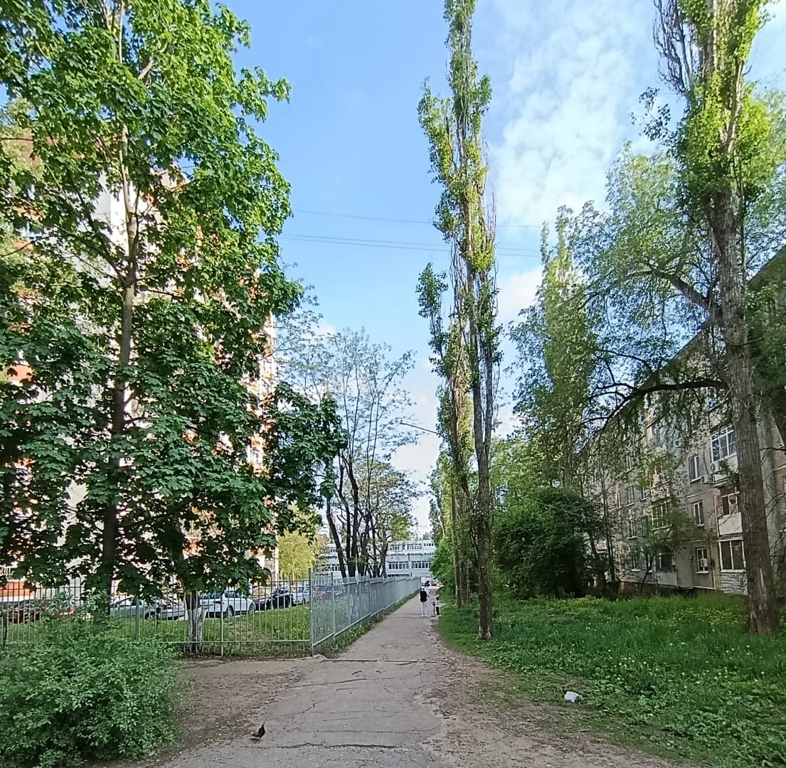 Photo 29