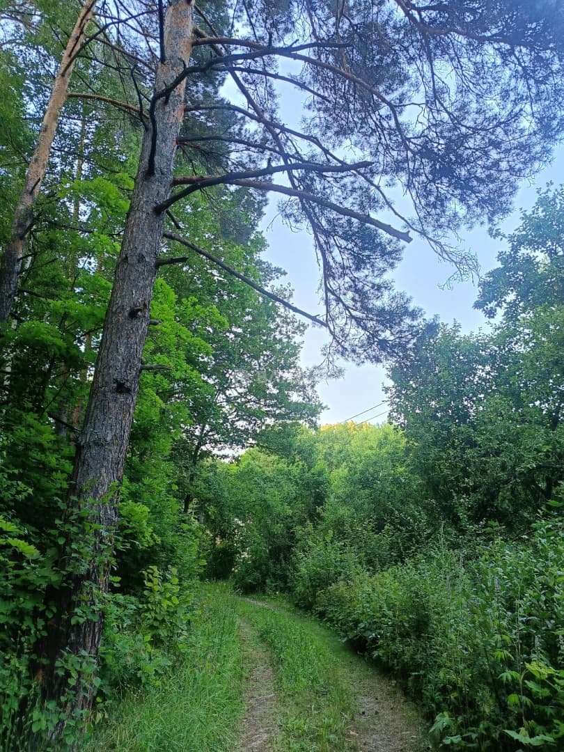 Photo 8