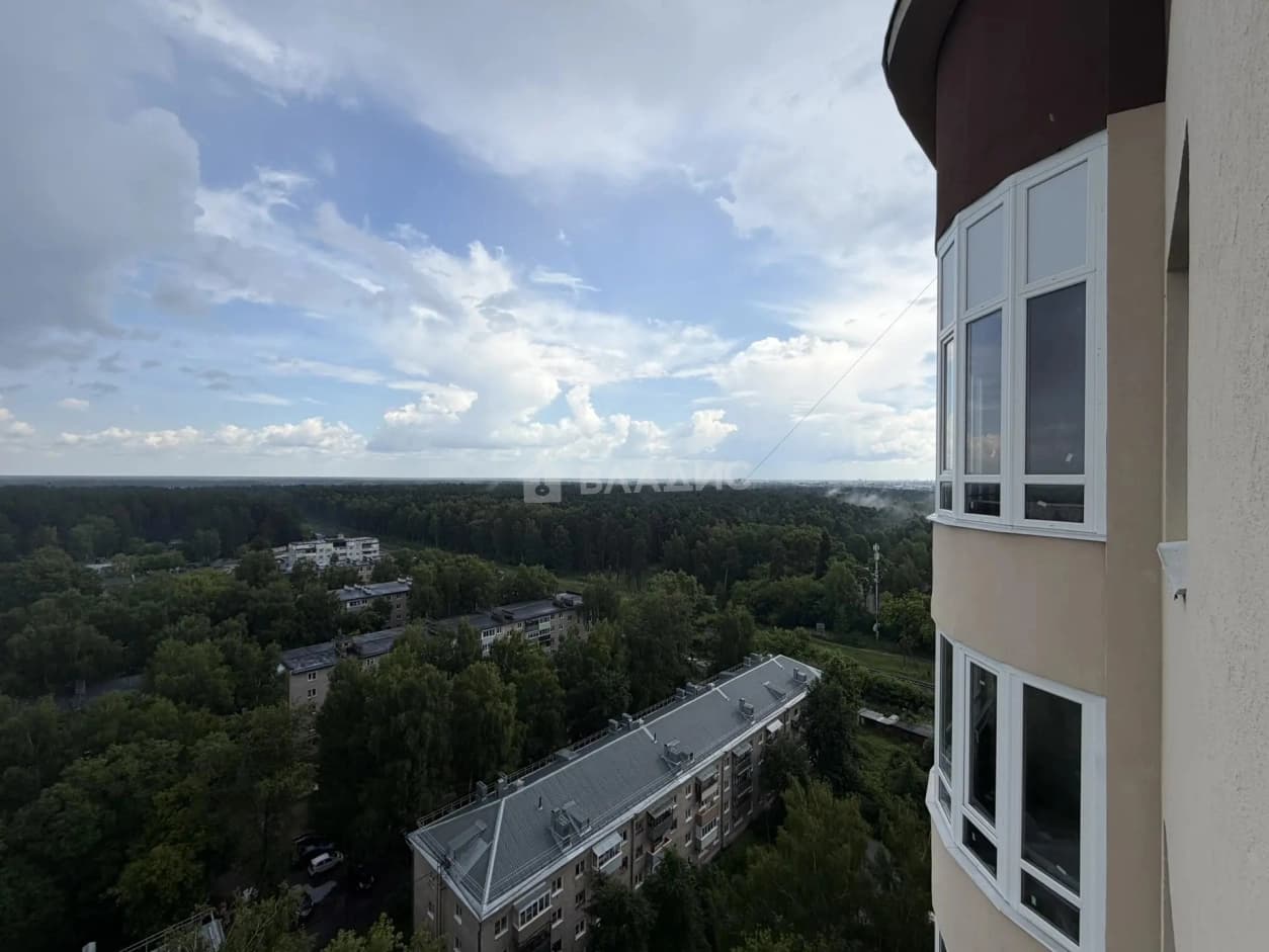 Photo 23