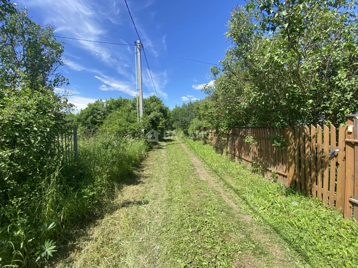 Photo 20