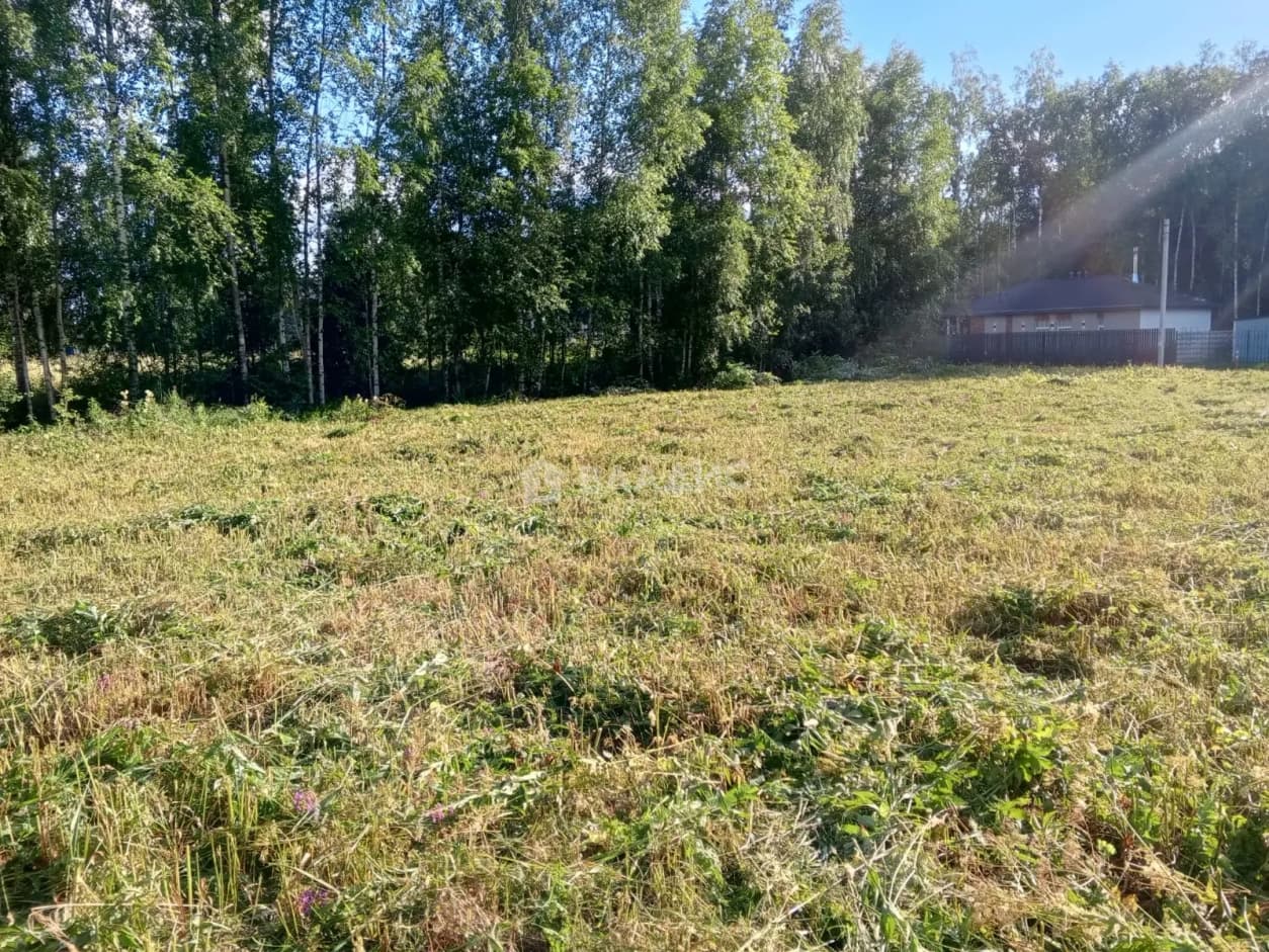 Photo 25